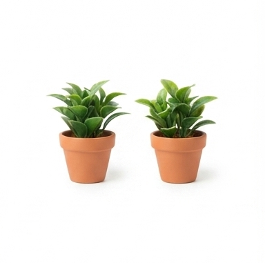 Two