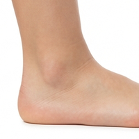 Ankle