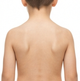 Back