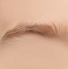 Eyebrows