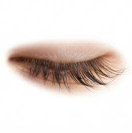 Eyelashes