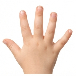 Fingers