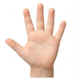 Hand