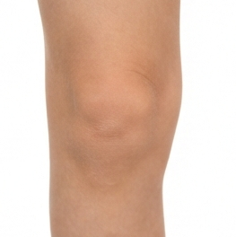 Knee