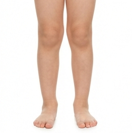 Legs
