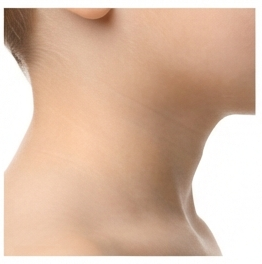 Neck