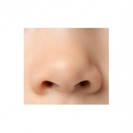 Nose