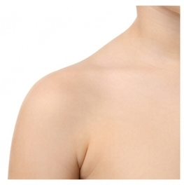 Shoulder