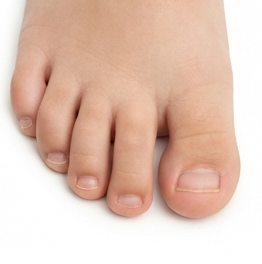 Toes