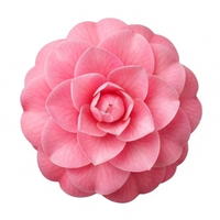 Camellia