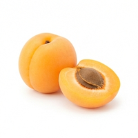 Apricot