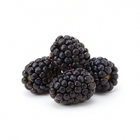 Blackberry