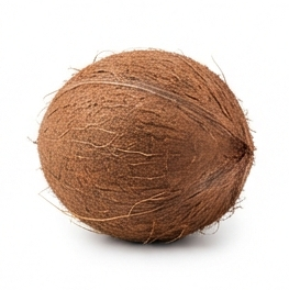 Coconut