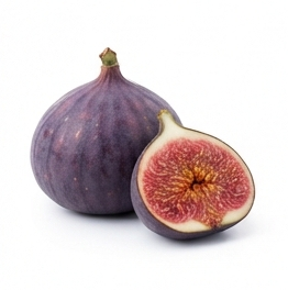 Fig