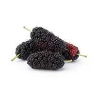 Mulberry