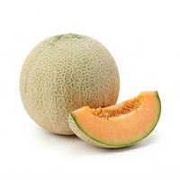 Muskmelon