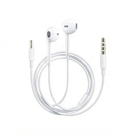 Earphones