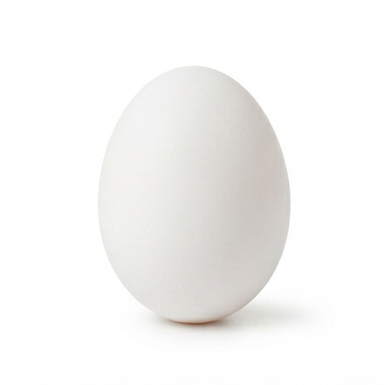 egg