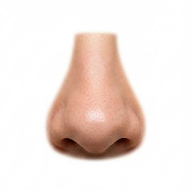 nose