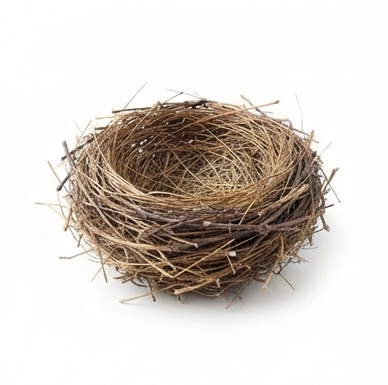 nest