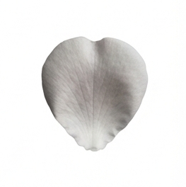Petal