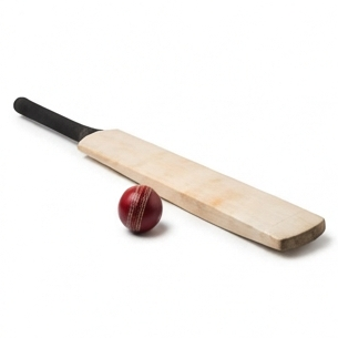 Cricket
