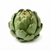 Artichoke