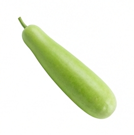 Bottle Gourd