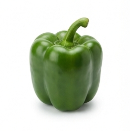 Capsicum