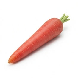 Carrot