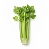 Celery