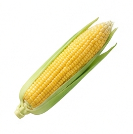 Corn