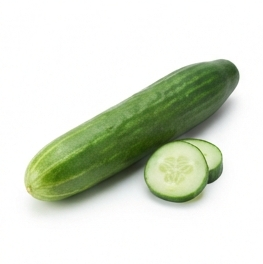 Cucumber