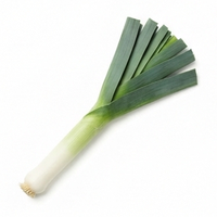 Leek