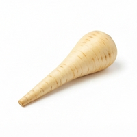 Parsnip