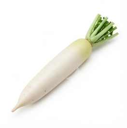 Radish