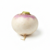 Turnip