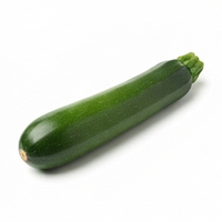 Zucchini
