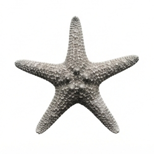 Starfish